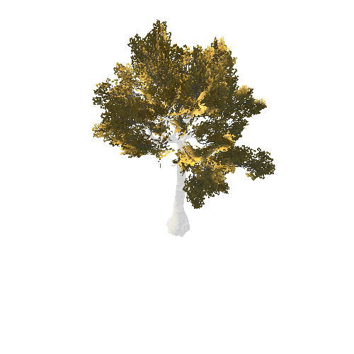 BeecthTree01GoldB2_afsTREE_xmvcb _xlod01_xlp